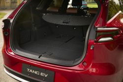 BYD Tang - trunk / boot