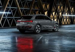 Audi Q8 e-tron - Image 14 from the photo gallery