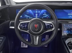 Hongqi E-HS9 - interior