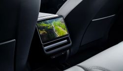 Tesla Model 3 - Interior rear display
