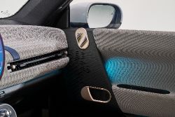 Mini Cooper - interior door