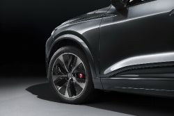 Audi Q6 e-tron - wheels